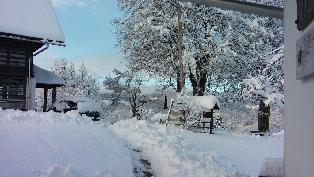 Вилла Tourist Farm Ljubica Поляне-над-Шкофьё-Локо Экстерьер фото