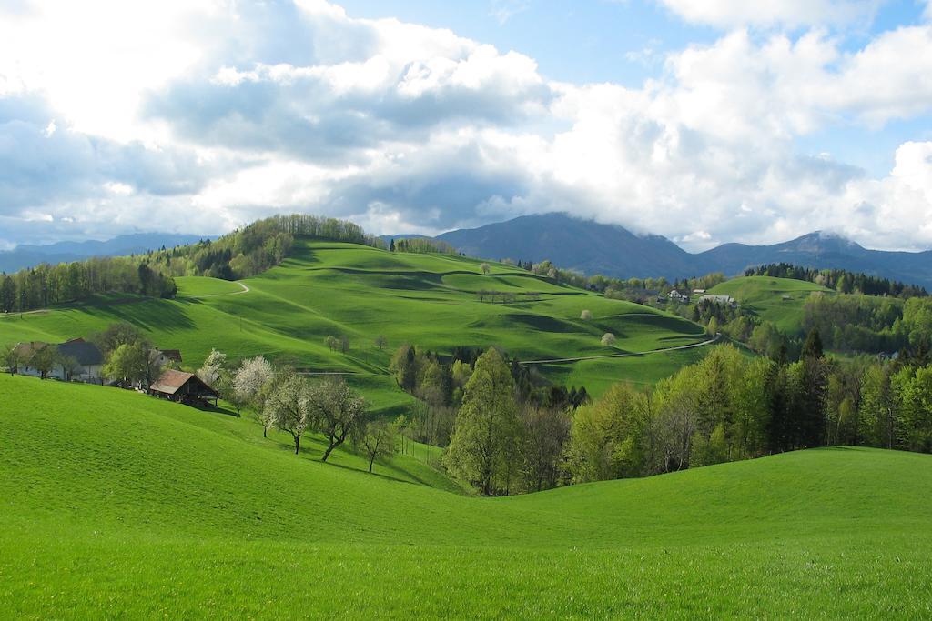 Вилла Tourist Farm Ljubica Поляне-над-Шкофьё-Локо Экстерьер фото