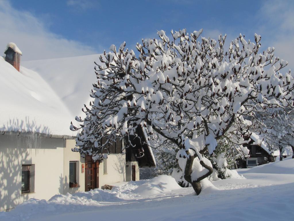 Вилла Tourist Farm Ljubica Поляне-над-Шкофьё-Локо Экстерьер фото